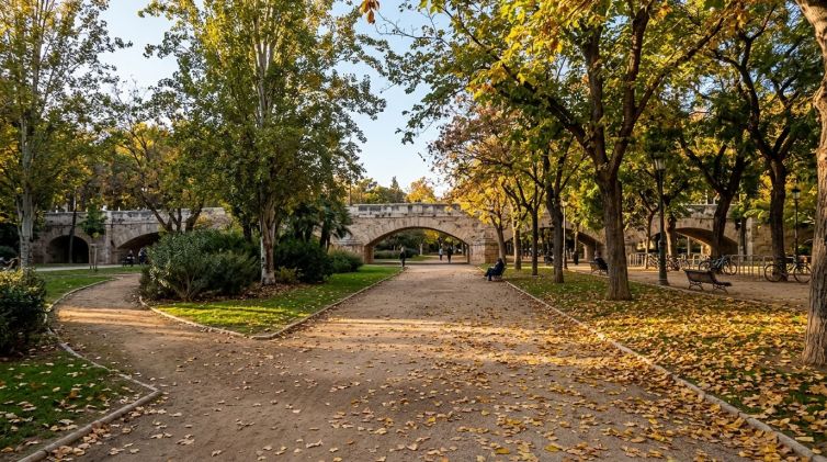 Qué hacer en Valencia en otoño- tradiciones y planes